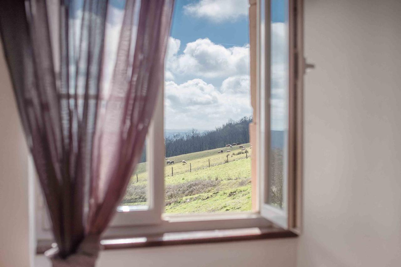 Chambres D'Hotes Le Pignie Lescure-dʼAlbigeois Eksteriør billede
